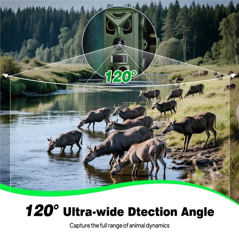 BTLIFE - Kamera do monitoringu – Trail Camera Infrared recenzja i cena