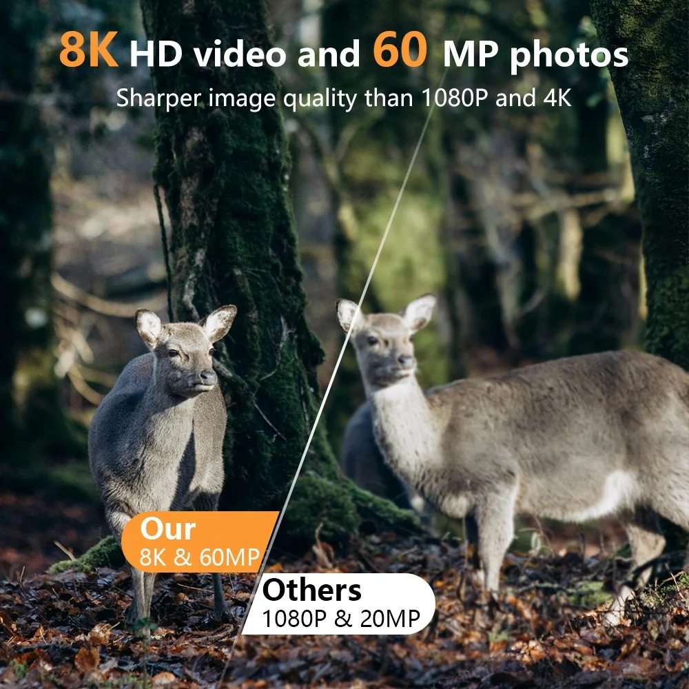 Kamera leśna PR803W 8K WiFi -  – Trail Camera Infrared recenzja i cena