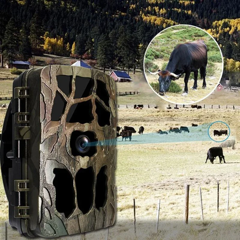 H982 IP66 wodoodporna 4K zewnę – Trail Camera Infrared recenzja i cena
